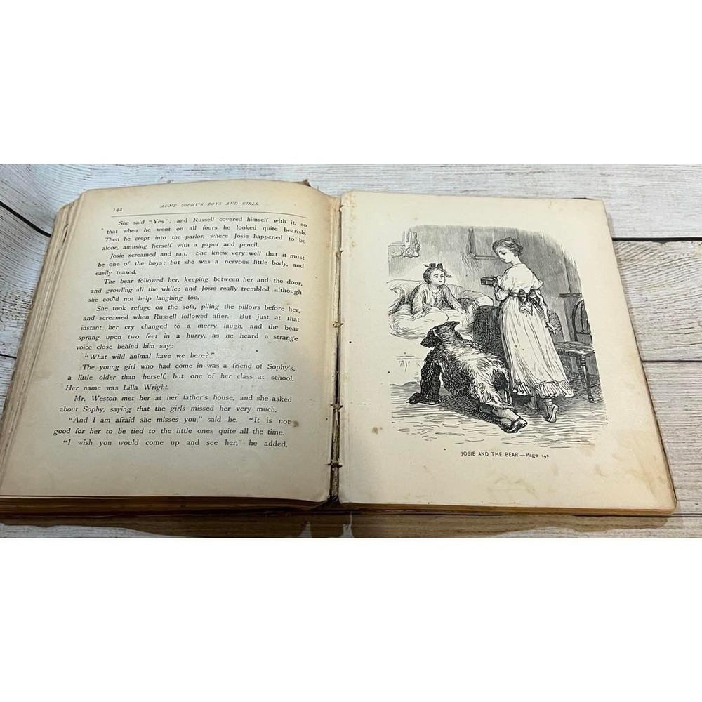 1881 Antique Childrens Book Aunt Sophy's Boys and Girls Mrs Sanford Dutton TubH2 - Picture 6 of 12